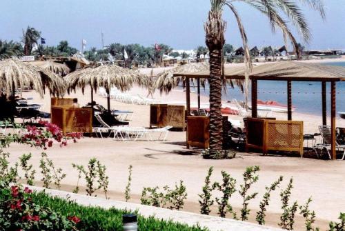 6 фото отеля Dahab Resort 5* 