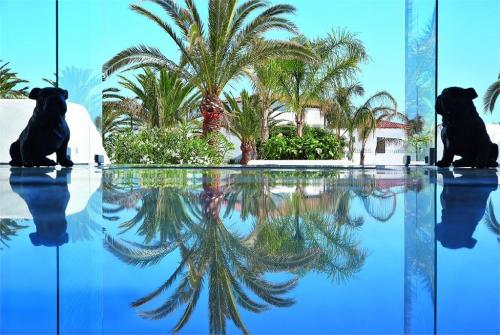 18 фото отеля Grecotel Caramel Boutique Resort 5* 