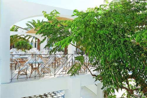 24 фото отеля Grecotel Caramel Boutique Resort 5* 