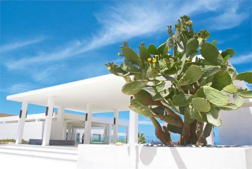 3 фото отеля Grecotel White Palace Luxury Resort 5* 