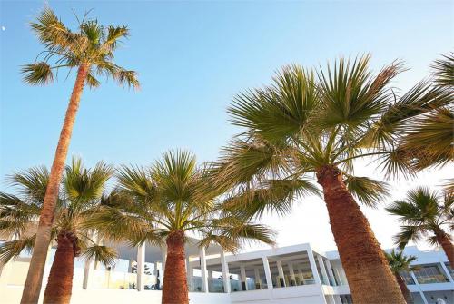 7 фото отеля Grecotel White Palace Luxury Resort 5* 