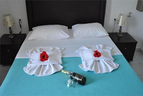 9 фото отеля Stork Hotel 2* 