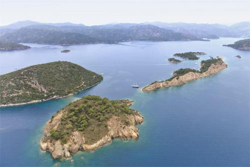 68 фото отеля D-Resort Gocek 4* 